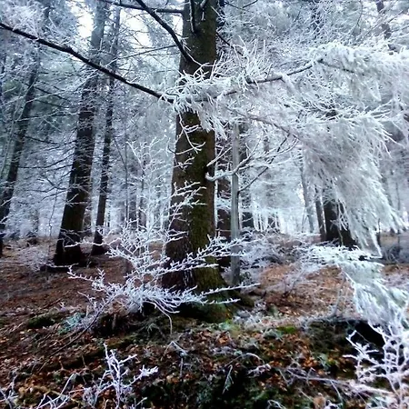Petronela Apartment Makov