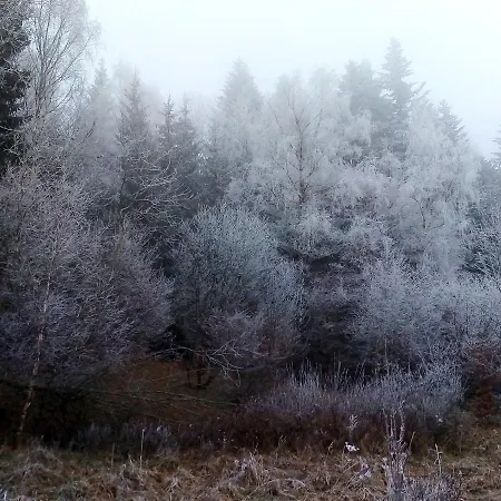 Petronela Apartment *