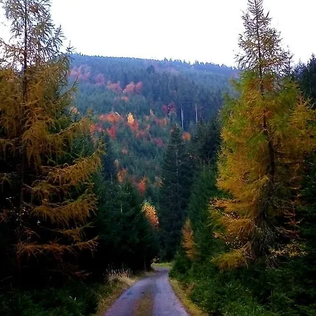 Petronela Apartment Makov