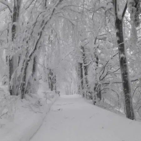 Apartment Petronela *