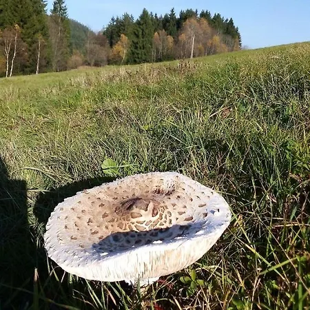 Petronela Apartment *